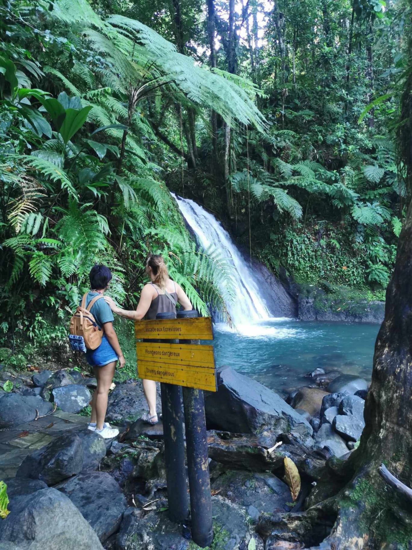 Cascade aux Écrevisses, Basse-Terre
