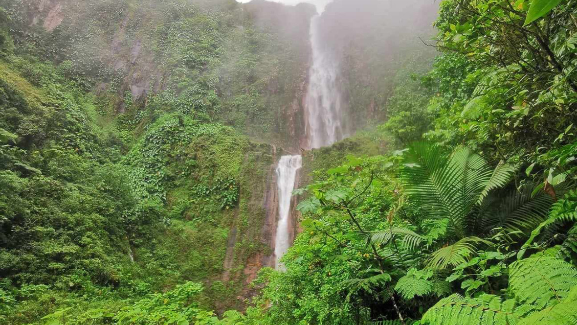 Chute du Carbet dans la forêt tropicale