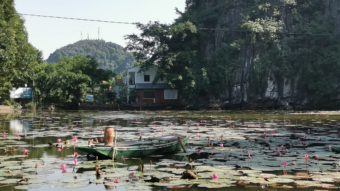 Ninh Bình au petit matin — barque sur l'étang de lotus